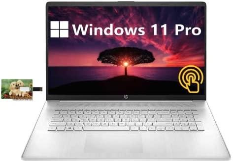 HP 17.3″ HD Touchscreen Business Laptop, 11th Gen Intel Core i7-1165G7, Windows 11 Pro, 16GB RAM, 1TB SSD, Backlit Keyboard, HDMI, WiFi 6, Webcam, Long Battery Life, 32GB Durlyfish USB Card
