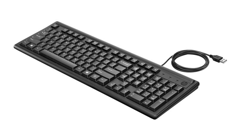 HP 100 ALL FR keyboard Home USB Black