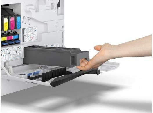Epson Maintenance Box for AM-C400/550