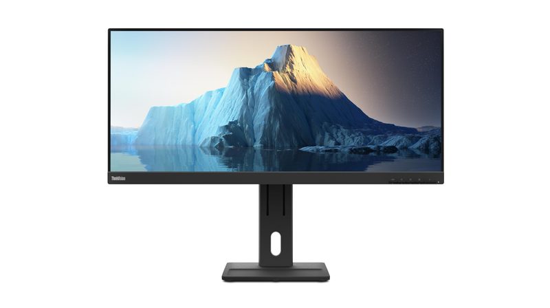 Lenovo ThinkVision E29w-20 computer monitor 73.7 cm (29") 2560 x 1080 pixels LED Black