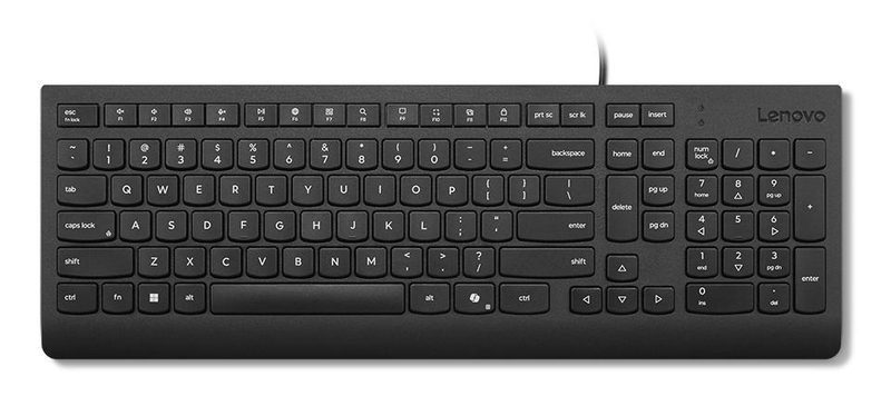 Lenovo Essential keyboard Home/Office USB Polish Black