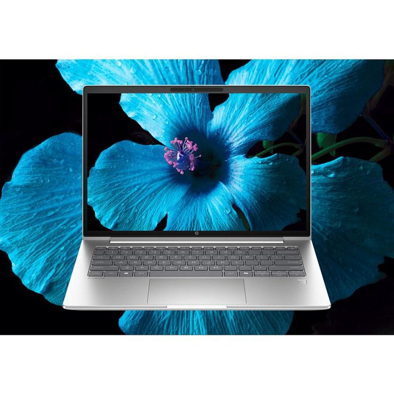 HP ProBook 4 P4G1i14 U5 225U 14 24GB/512 PC NL Intel Core Ultra 5 Laptop 35.6 cm (14") WUXGA DDR5-SDRAM 512 GB SSD Wi-Fi 7 (802.11be) Windows 11 Pro AI PC Silver QWERTY