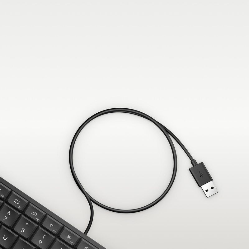HP 170K Wired Keyboard