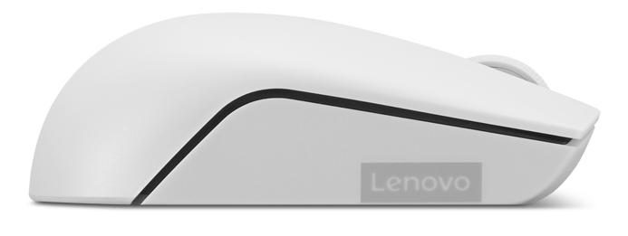 Lenovo 300 mouse Office Ambidextrous RF Wireless Optical 1000 DPI