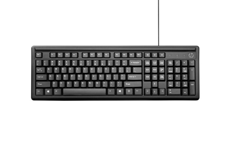 HP 100 ALL FR keyboard Home USB Black