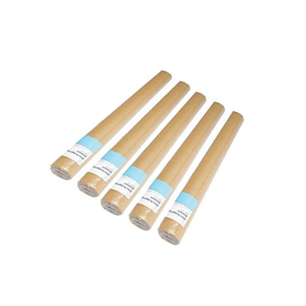 FIS LAMINATED BROWN PAPER ROLL SIZE FSPA-5010MN