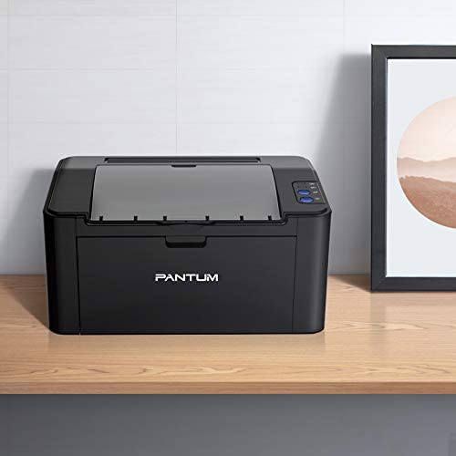Pantum P2502W Wireless Laser Printer Home Office Use, Black and White  Printer with Mobile Printing (V8V77B)