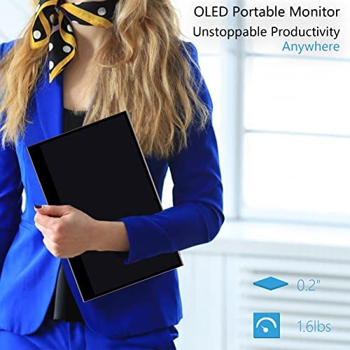 OLED Portable Monitor In-Depth Review (INNOCN 15.6 Full HD 1080p) 