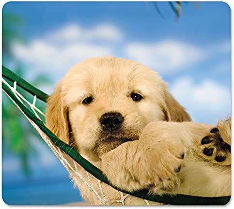 Fellowes 7-1/2 x 9 Inches Recycled Mouse Pad with Nonskid Base, Puppy in Hammock (FEL5913901)