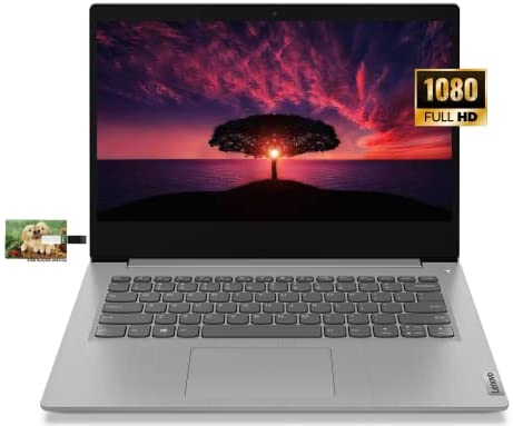 New Lenovo IdeaPad 3i Business Laptop, 14" FHD Display, Intel Core i5-10210U, Windows 10 Pro, 8GB RAM 256GB SSD, WiFi, Webcam, Bluetooth, HDMI, 32GB Durlyfish USB Card
