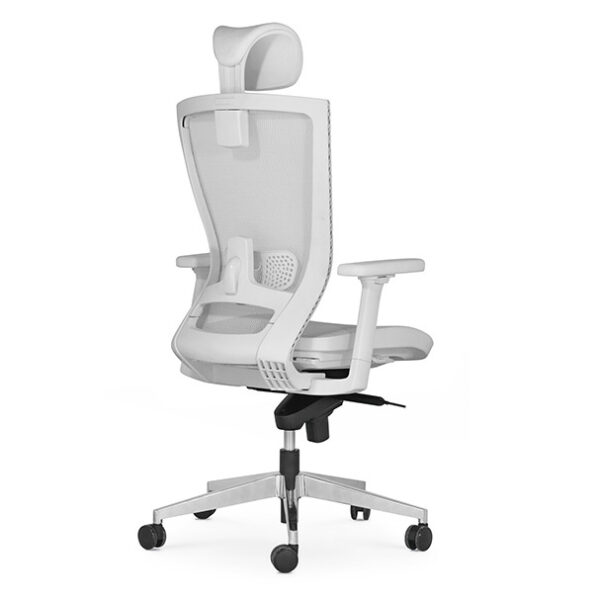 New office chairs collection