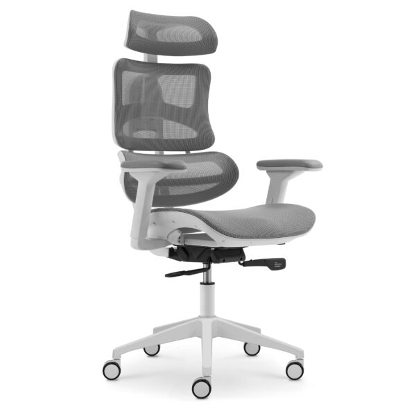 New office chairs collection