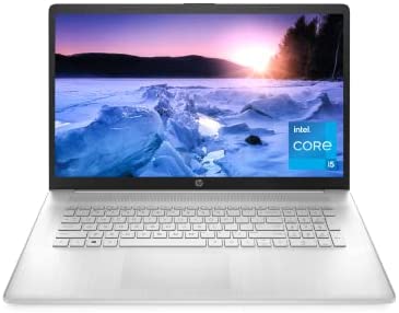 HP 17-inch Laptop, 11th Generation Intel Core i5-1135G7, Intel Iris Xe Graphics, 8 GB RAM, 256 GB SSD, Windows 11 Home (17-cn0025nr,Natural Silver)