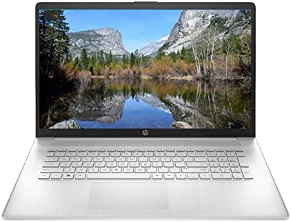 Newest HP Premium 17 Laptop: 17.3" HD+ BrightView Non-Touch Display, Latest Intel 2-Core i3-1115G4 Processor(Upto 4.1Ghz), 16GB RAM, 1TB HDD, UHD Graphics, WiFi, Bluetooth, HDMI, Webcam, Win10H, TF