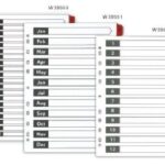 Deli-E W39551-Jan-Dec Coloured Index File Dividers